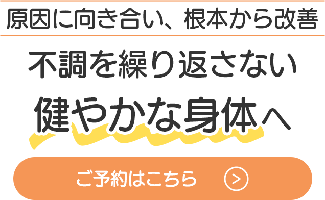 約11年にわたる経験と実績