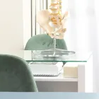 アクセス